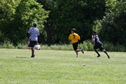 OTFL Gallery Image